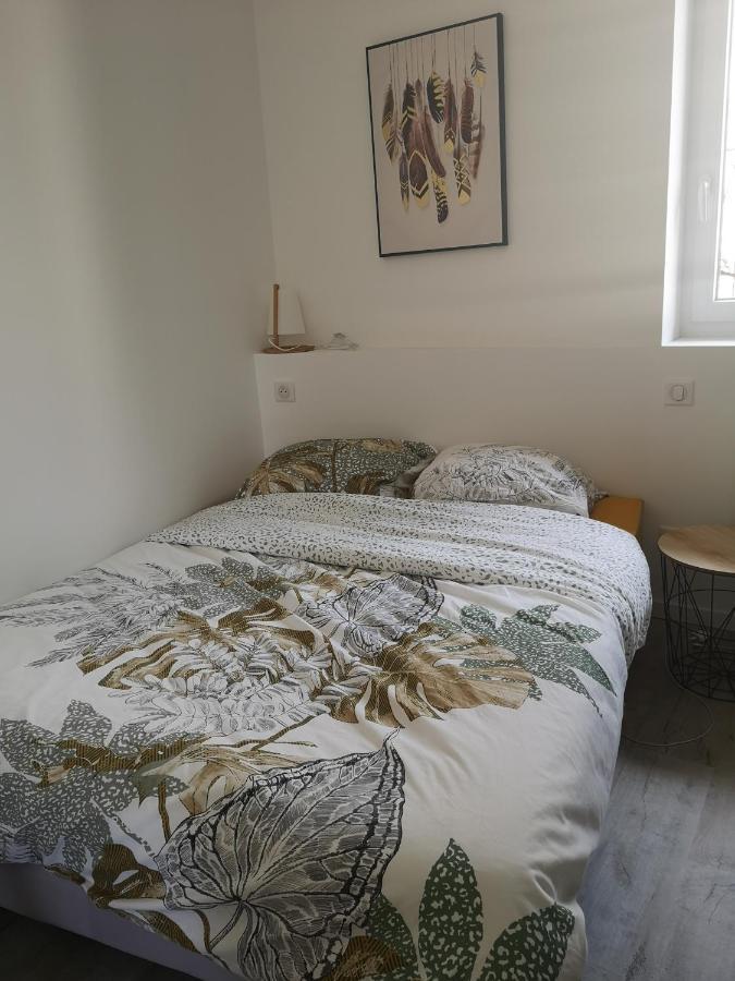 T3 Avec Salle De Bain Privative Par Chambre Agen Dış mekan fotoğraf